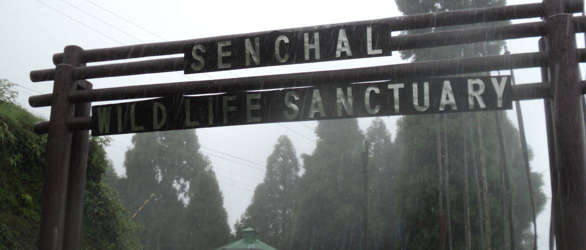 Nature Lover Homestay -Sittong Homestay